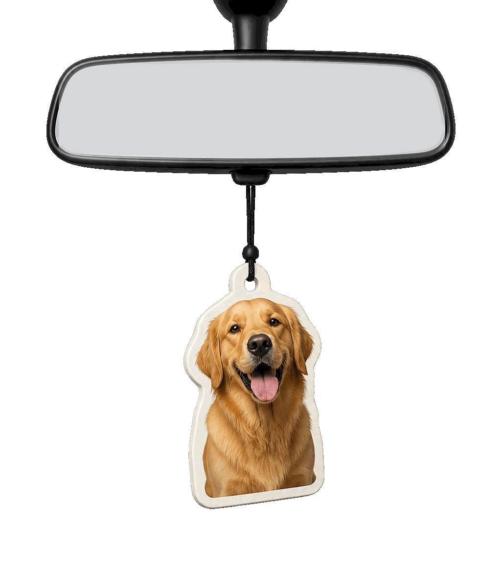 Custom air fresheners